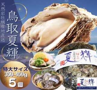 【1306】天然岩牡蠣(活)夏輝 350g-450g前後(特大サイズ) 5個セット(いまる)