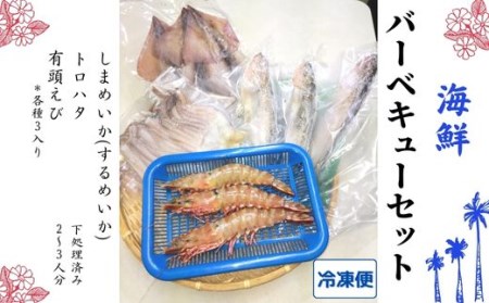 【処理済み】海鮮バーベキューセット2～3人分・加熱用（冷凍便）