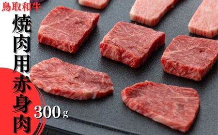 鳥取和牛　焼肉用赤身肉　300gお肉 肉 牛肉 和牛 鳥取和牛 牛肉 肉 国産 お肉 冷凍焼き肉 焼き肉用 赤身 赤身 肉