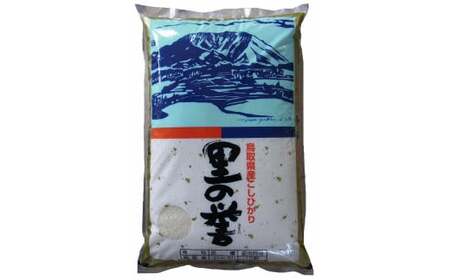 鳥取県産コシヒカリ（５ｋｇ）令和５年産 新米 お米 米 こめ コメ 白米 こしひかり コシヒカリ