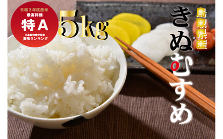 鳥取県産きぬむすめ（５ｋｇ）令和５年産 新米 お米 米 こめ コメ 白米 きぬむすめ