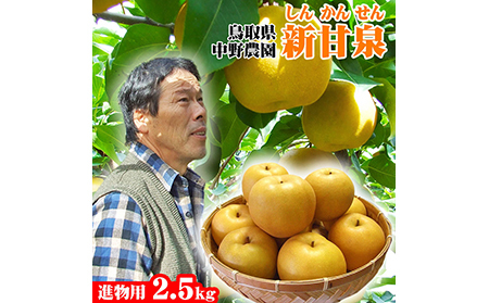 【41010】【中野農園】新甘泉 2.5kgセット（4-8玉）ご進物用