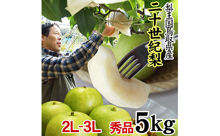 【41008】【中野農園】二十世紀梨 5kgセット（2L-3Lサイズ／秀品）ご進物用