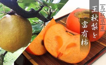 Y103 【訳あり】王秋梨と富有柿のセット 4kg