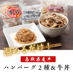 Y167 鳥取県産ハンバーグ２種&牛丼セット