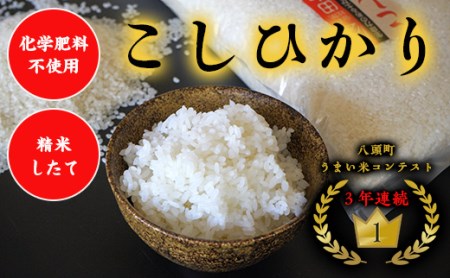 Y181 特別栽培米コシヒカリ10kg