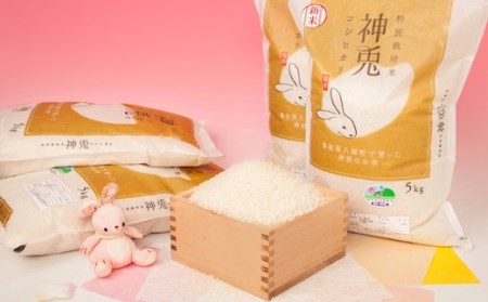 Y182 特別栽培米コシヒカリ20kg
