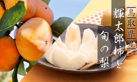 Y099 輝太郎柿と旬の梨セット 3kg