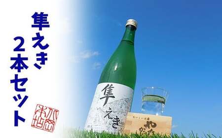 Y225 鳥取県産純米吟醸酒「隼えき」２本セット