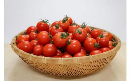 【先行予約】フルーツトマト 三朝町産 2kg × 1箱
