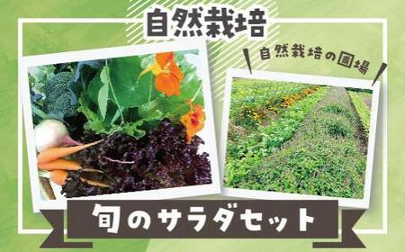 【定期便】自然栽培 旬のサラダセット 約1kg×6回
