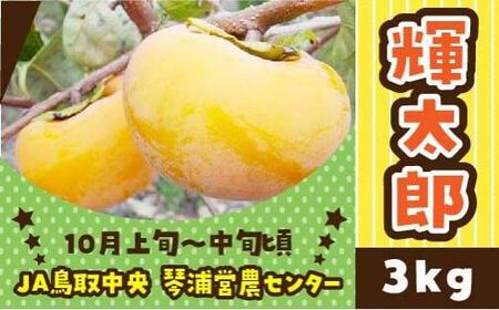 数量限定 鳥取県産柿 輝太郎（きたろう） 3kg
