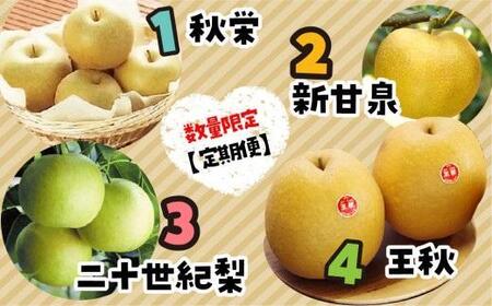 数量限定【定期便】鳥取県産 梨の食べ比べ 4種類コース