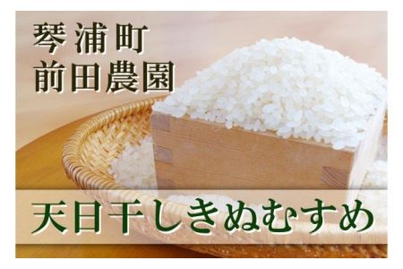 鳥取県産米 きぬむすめ 天日干し 10kg