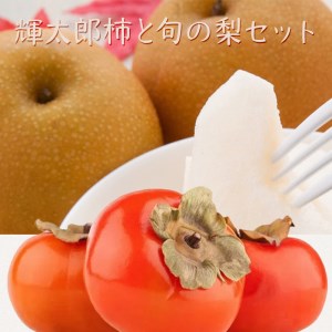 【先行予約】輝太郎柿と旬の梨セット ※2024年10月上旬～中旬頃に順次発送予定