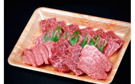 鳥取和牛　焼肉用特上赤身肉　６００ｇ