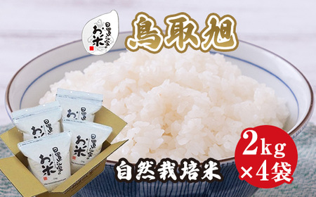 １９８．日置さん家の自然栽培米「鳥取旭」精米　2kg×4袋 2023年産