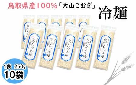 IW08：鳥取県産大山こむぎ冷麺10袋