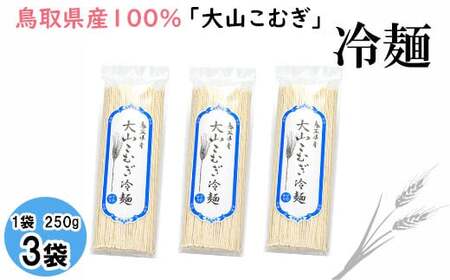IW10：鳥取県産大山こむぎ冷麺3袋