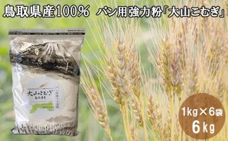IW01：鳥取県産大山こむぎパン用強力粉　1kg×6袋