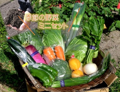 DM02：季節の野菜ミニセット