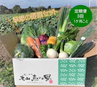 TD01：【3回定期便】季節の野菜セット