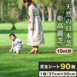 YG-04 天然の日本芝「姫高麗芝」１０平方メートル分BOX