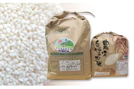 MS-22　特別栽培米こしひかり(5kg)ともち米(3kg) 令和5年産新米