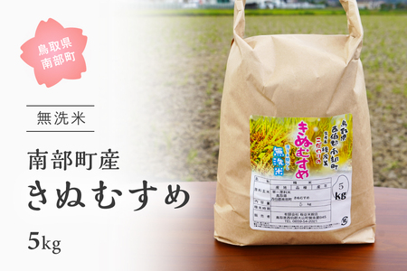 鳥取県南部町産「無洗米きぬむすめ」5kg 令和5年産 板谷米穀店