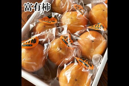 鳥取県産富有柿　3kg相当　＜出荷：12月・1月・2月＞	