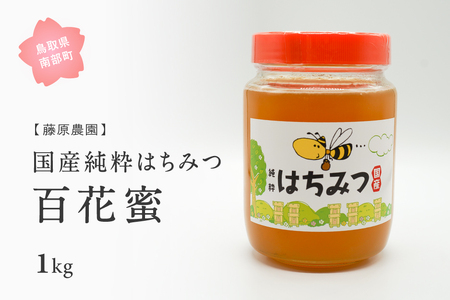 里地・里山のめぐみ 純粋ハチミツ（百花蜜） 1kg