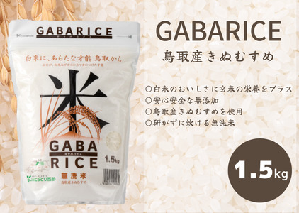 無洗米 GABAライス 1.5kg×1袋 鳥取産きぬむすめ JAアスパル 0585