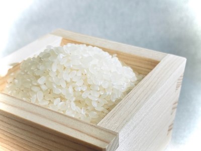 令和5年産 江府町産特別栽培米 天恵米コシヒカリ 10キロ / 精米 こめ コメ JAアスパル 0598