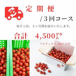 【定期便/全３回】　島根県産　海辺のトマトバラ　1.5kg　(11～3月限定)　041-07
