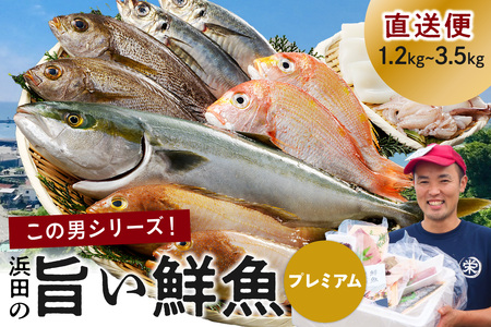 浜田のプレミアム鮮魚～この男シリーズ～ 海鮮 鮮魚 詰め合わせ セット おまかせ 人気 お取り寄せ 【855】