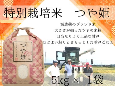 【特別栽培米で減農薬】出雲産つや姫　5kg×1袋【1-105】