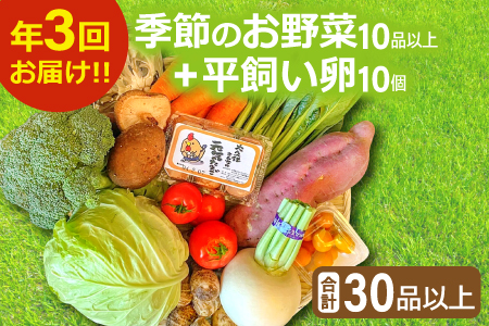 C-811 【3回定期便】季節のお野菜と平飼い卵のセット (10～12品)