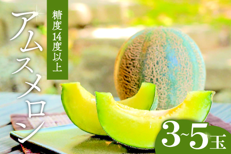 A-925 益田産 あまーいアムスメロン　3～5玉