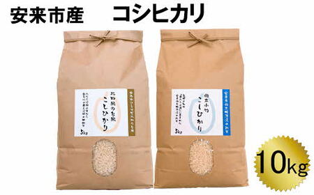 安来産 コシヒカリ 10kg  ［令和5年産］／  こしひかり 棚田米 精米 白米 食べ比べ