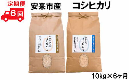 【定期便】安来産コシヒカリ 10kg×6ヵ月 ［令和5年産］ ／  こしひかり 棚田米 精米 白米 食べ比べ