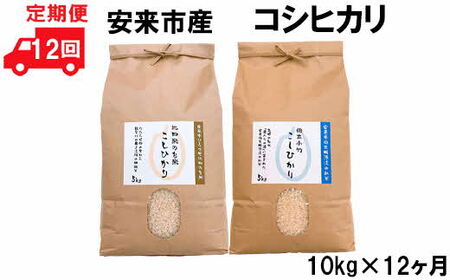 【定期便】安来産コシヒカリ 10kg×12ヵ月 ［令和5年産］ ／  こしひかり 棚田米 精米 白米 食べ比べ