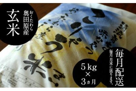 安来のお米【定期便】こりゃう米（まい）玄米 5kg×3回（毎月） ［令和5年産］