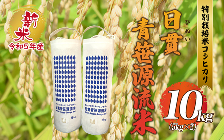 【令和5年産】特別栽培米コシヒカリ 日貫青笹源流米 10kg（5kg×2袋）令和5年10月よりお届け