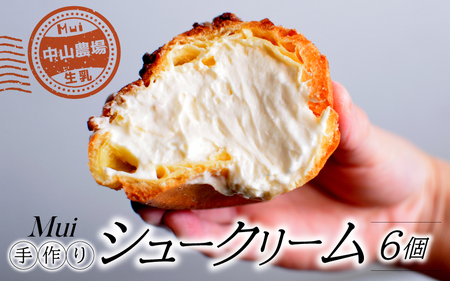 【中山農場生乳】手作り シュークリーム 6個