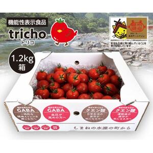 高糖度フルーツトマト「tricho(トリコ)」1.2kg【配送不可地域：離島】【1420206】