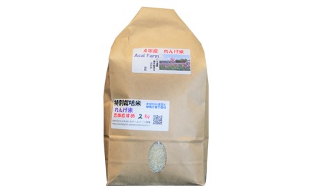 岡山県産 特別栽培米 きぬむすめ 精米 2kg