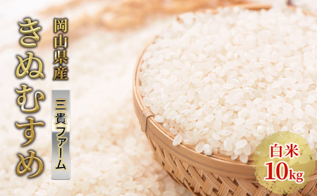 お米 令和5年度産 きぬむすめ 10kg 岡山県産 白米 米