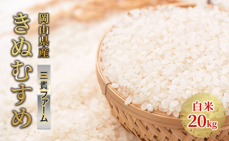 お米 令和5年度産 きぬむすめ 20kg 岡山県産 白米 米