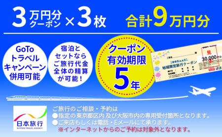 日本旅行 地域限定旅行クーポン【90,000円分】