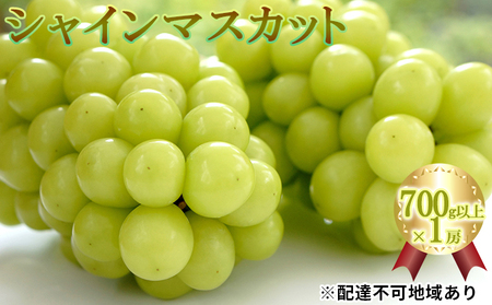 シャインマスカット 700g以上×1房 岡山県 倉敷市産 葡萄 ぶどう 果物 フルーツ 2024年 先行予約